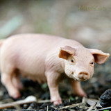 Bullyland Pig Sow