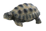 Bullyland Tortoise Young