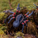 Bullyland Tarantula lifestyle