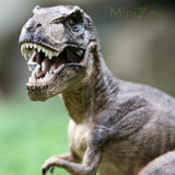 Papo Tyrannosaurus Rex Papo Tyrannosaurus Rex