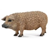 CollectA Hungarian Pig