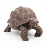 Papo Galapagos Tortoise