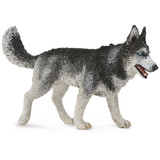 CollectA Siberian Husky