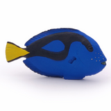 Papo Surgeonfish