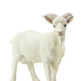 Safari Ltd Goat Billy