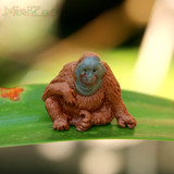 Safari Ltd Mini Orangutans