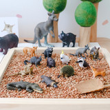 Science and Nature Small Crocodile Science and Nature Small Crocodile