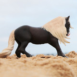 CollectA Black Forest Horse Stallion