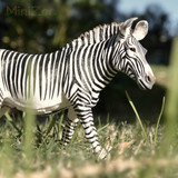 CollectA Grevys Zebra