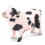 Safari Ltd Pot Bellied Pig IC