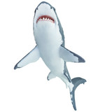 Safari Ltd  Great White Shark