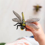 CollectA Golden Ringed Dragonfly in hand MiniZoo