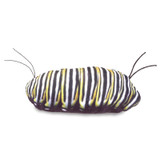 Folkmanis Monarch Life Cycle Puppet