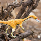 Safari Ltd Coelophysis