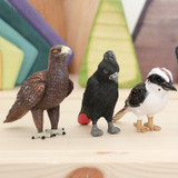 Science and Nature Small Red Tailed Black Cockatoo