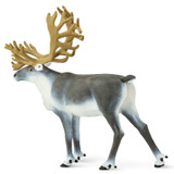 Safari Ltd Caribou