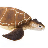 Safari Ltd  Green Sea Turtle