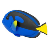 Safari Ltd Blue Tang IC