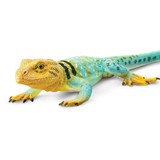 Safari Ltd Collared Lizard closeup