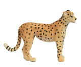 Science and Nature Cheetah Small