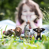 Schleich Wild Life animals