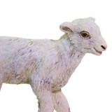 Safari Ltd Lamb