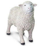 Safari Ltd Sheep