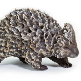 Safari Ltd Porcupine