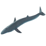 Safari Ltd Sei Whale