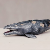 CollectA Grey Whale closeup Minizoo