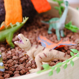Science and Nature T-Rex MiniZoo lifestyle