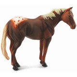 CollectA Horse Gift Set 5pc