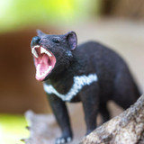 Safari Ltd Tasmanian Devil