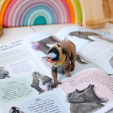 Safari Ltd Mandrill on monkey book