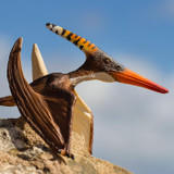 Safari Ltd Pteranodon 2019
