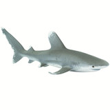 Safari Ltd Oceanic Whitetip Shark