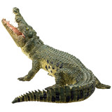 Mojo Crocodile