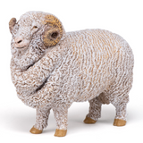 Papo Merino Ram Papo Merino Ram