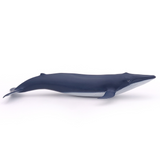 Papo Blue Whale Calf