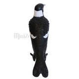 Science and Nature Magpie