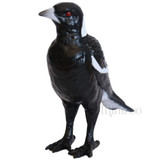 Science and Nature Magpie
