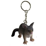 Science and Nature Possum Keychain