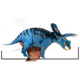 Creative Beasts Torosaurus model size