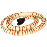 Black Head Python Rubber Snake 42"