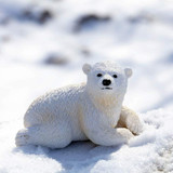 PNSO Ada the Polar Bear outdoor photo