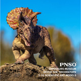 PNSO Doyle the Triceratops 1:35 Scale