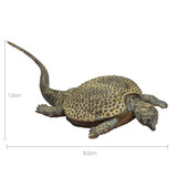 PNSO Glyphoderma Kel dimensions