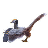 PNSO Archaeopteryx Jonas side view 2