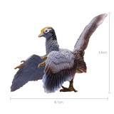 PNSO Archaeopteryx Jonas dimensions