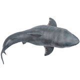PNSO Patton the Megalodon top view PNSO Patton the Megalodon top view